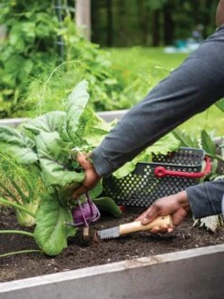 Gardener's Lifetime Hori Hori Knife 7 Gardener's Lifetime Hori Hori Knife -Garden Care Sale 8608888 0422 tif