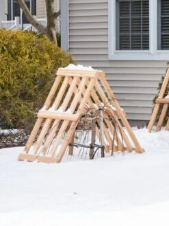 Cedar Shrub Guard -Garden Care Sale 8609071 3531 cedar shrub guard