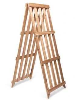 Cedar Shrub Guard -Garden Care Sale 8609071 5061