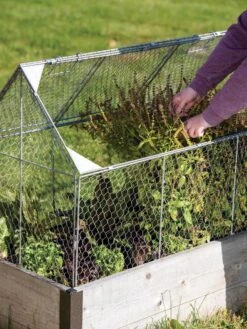 Chicken Wire Crop Coop -Garden Care Sale 8609080 0187
