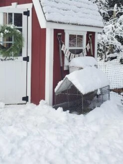 Chicken Wire Crop Coop -Garden Care Sale 8609080 03IN tif