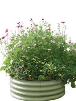 Birdies™ Round Metal Raised Bed -Garden Care Sale 8609150 006525 tif