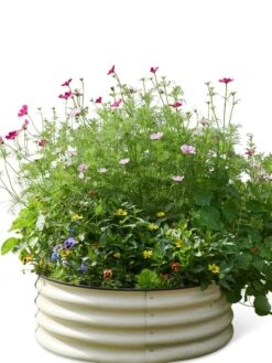 Birdies™ Round Metal Raised Bed -Garden Care Sale 8609150 06525 tif