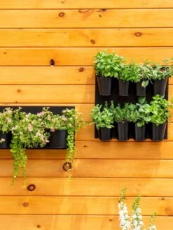 8 Pot Metal Wall Planter -Garden Care Sale 8609195 6250 tif