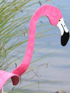 Florida Dancing Birds®, Flamingos -Garden Care Sale 8609442HP 02V jpg