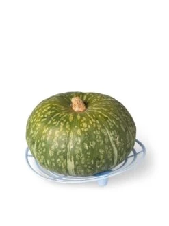Melon And Squash Cradles, Set Of 6 6 Melon And Squash Cradles, Set Of 6 -Garden Care Sale 8609464 5204 tif