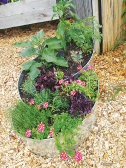 Curved Metal Raised Bed