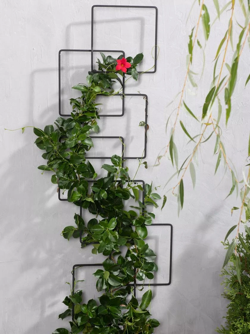 Building Blocks Wall Trellis, 45" 2 Building Blocks Wall Trellis, 45" - Image 2