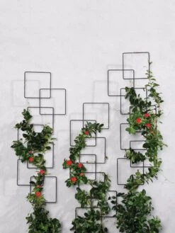 Building Blocks Wall Trellis, 45" 6 Building Blocks Wall Trellis, 45" -Garden Care Sale 8610183 5811 tif