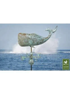Whale Weathervane 6 Whale Weathervane -Garden Care Sale 8610226 01v