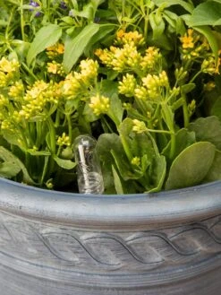 Adjustable Self-Watering Insert For Pots And Planters 19 Adjustable Self-Watering Insert For Pots And Planters -Garden Care Sale 8610250 0010 tif