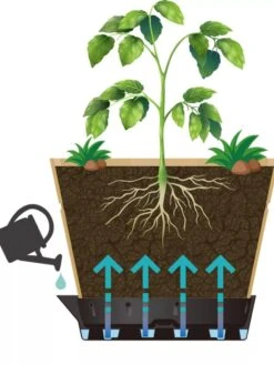 VegTrug® Build-a-Barrel Wooden Planter With Self-Watering Reservoir Tray, 18" -Garden Care Sale 8610253 05V tif