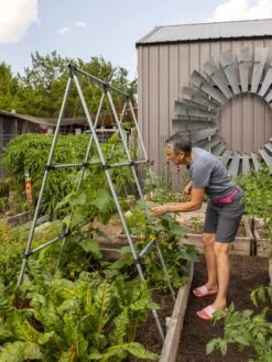 Connector Kit For DIY A Frame Plant Support -Garden Care Sale 8610366 7584 tif