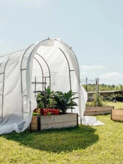 Maxi Garden Quilt -Garden Care Sale 8610373 373 tif