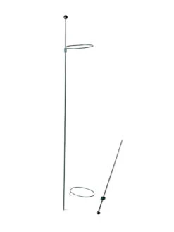 Peacock Mini Plant Support Rings 4", Set Of 2 -Garden Care Sale 8610386 9566