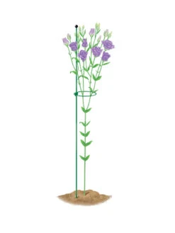 Peacock Mini Plant Support Rings 4", Set Of 2 -Garden Care Sale 8610386 peacock4x36