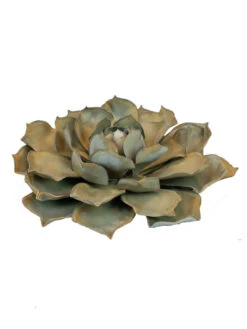 Desert Steel Blue Rose Succulent Sculpture -Garden Care Sale 8610763 01v desert steel blue rose succulent small