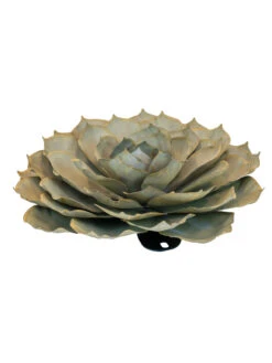 Desert Steel Blue Rose Succulent Sculpture -Garden Care Sale 8610765 01v desert steel blue rose succulent medium