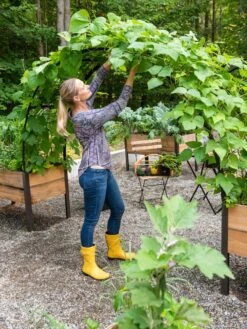 2’ X 8’ Arch Trellis For Planter Boxes -Garden Care Sale 8610798 050 tif