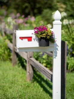 Mailbox Planter 6 Mailbox Planter -Garden Care Sale 8611026 014 tif