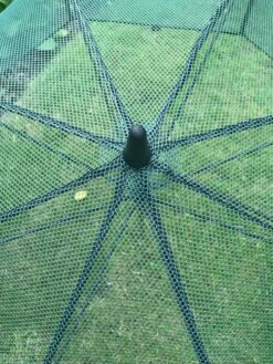 GardenSkill Pop N Crop Plant Umbrella -Garden Care Sale 8611105 07V tif