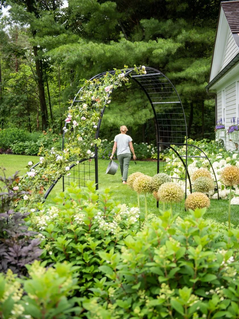Gateway Arch 2 Gateway Arch - Image 2