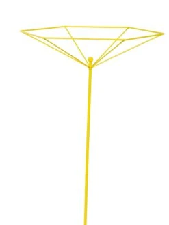 Parasol Plant Supports, Set Of 3 -Garden Care Sale 8611129 3844 tif