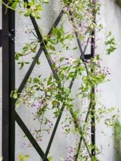 Lattice Gable Wall Trellis 6 Lattice Gable Wall Trellis -Garden Care Sale 8611130 011