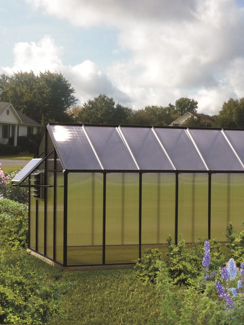 MONT Mojave Greenhouse, 8' X 16' 1 MONT Mojave Greenhouse, 8' X 16'