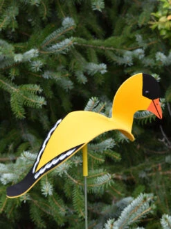 Florida Dancing Birds®, Songbirds 7 Florida Dancing Birds®, Songbirds -Garden Care Sale 8611629 04v