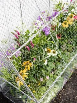 Chicken Wire Flat Back Crop Coop -Garden Care Sale 8611701 153 tif