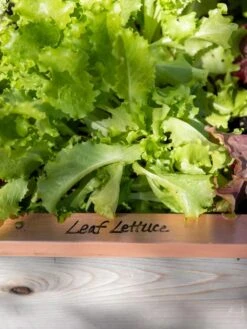 Re-Markable Raised Bed Trim -Garden Care Sale 8611757 326 tif