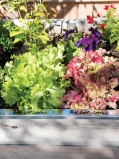 Re-Markable Raised Bed Trim -Garden Care Sale 8611758 306 tif