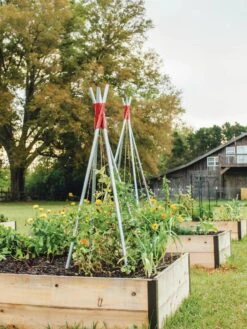 DIY Connector For Teepee Trellis 18 DIY Connector For Teepee Trellis -Garden Care Sale 8611896 71 tif