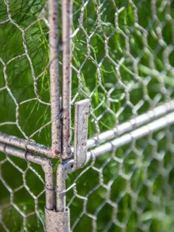 Chicken Wire Crop Coop Extension 10 Chicken Wire Crop Coop Extension -Garden Care Sale 8611940 232 tif