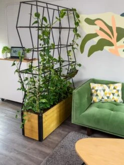 Self-Watering Partition Planter -Garden Care Sale 8611952 001 tif