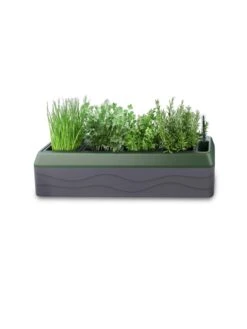 Provence Self-Watering Herb Planter -Garden Care Sale 8611965 03V tif