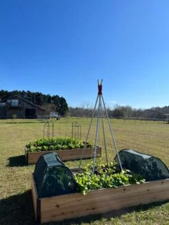 Insect And Pest Net Row Protector 9 Insect And Pest Net Row Protector -Garden Care Sale 8611985 04 tif