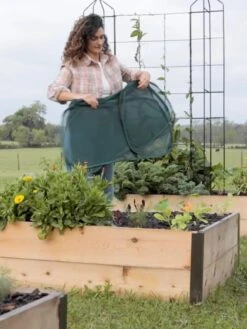 Insect And Pest Net Row Protector 10 Insect And Pest Net Row Protector -Garden Care Sale 8611985 8389 tif