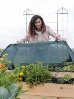 Insect And Pest Net Row Protector 11 Insect And Pest Net Row Protector -Garden Care Sale 8611985 8390 tif