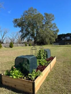 Pest Control Pop-Ups 12 Pest Control Pop-Ups -Garden Care Sale 8611989 08 tif