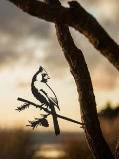 Metalbird Cardinal -Garden Care Sale 8612021 03v