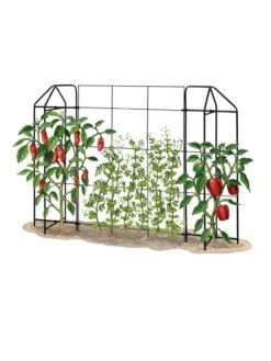 Zenith Trellis -Garden Care Sale 8612035 art tif