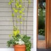 Flock Of Friends Pot Trellis