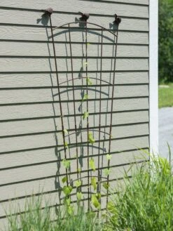 Flock Of Friends Wall Trellis 9 Flock Of Friends Wall Trellis -Garden Care Sale 8612636 0007