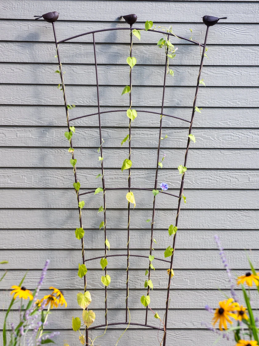 Flock Of Friends Wall Trellis 1 Flock Of Friends Wall Trellis