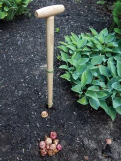 Wicked Big Dibber -Garden Care Sale 8612667 0028