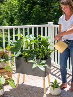 Ava Self-Watering Rectangular Planter 11 Ava Self-Watering Rectangular Planter -Garden Care Sale 8612691 0011