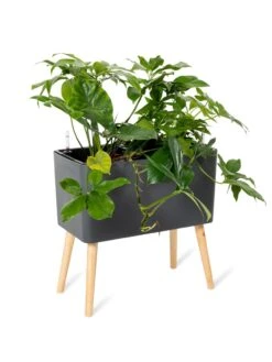 Ava Self-Watering Rectangular Planter 12 Ava Self-Watering Rectangular Planter -Garden Care Sale 8612691 0013