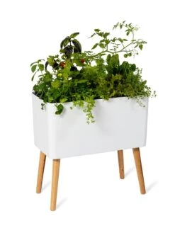 Ava Self-Watering Rectangular Planter 13 Ava Self-Watering Rectangular Planter -Garden Care Sale 8612691 0014